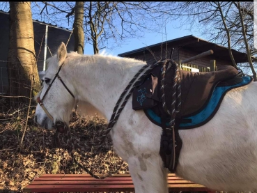 Preview: Satteltaschen